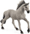 13915 - Sorraia Mustang Stallion