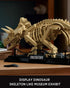 Set, Set (798 NF10351) Nifeliz Triceratops Fossil Model Dinosaur Skeleton Building for Adults and Collectors, Ideal