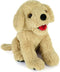 LotFancy 12 Inch Dog Stuffed Animals, Cuddly Golden Retriever Sitting Puppy Plush Toy