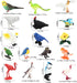 ONEST 34 Pieces Mini Bird Figurines Playset - Hand Painted Realistic Resin Bird Figures for Kids