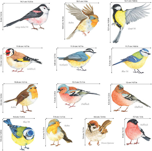 DECOWALL DS2-8038 Little Birds Kids Wall Stickers, Peel and Stick Removable Wall Decals for Kids Nursery Bedroom (Small)