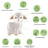 0-6, CaaOcho Pure Natural Rubber Teething Baby Toy - Mia the Lamb Teether for Babies, BPA Free Baby Toy, All Natural