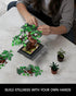 SHAREHB Sets 4 1 Bonsai Tree Building - in Four Seasons Bonsai DIY Building Blocks Toy, Artificial Bonsai Tree Plants
