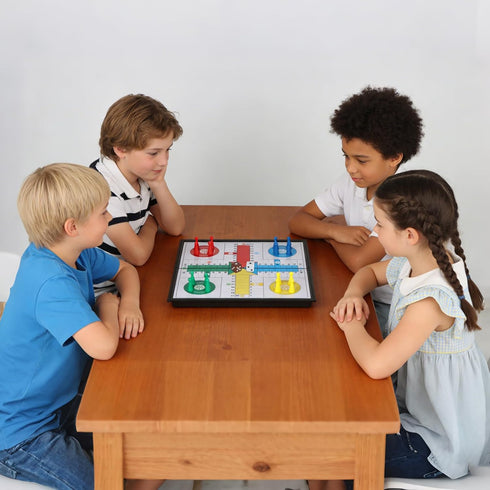 Set 9.84 Inches Magnetic Ludo Board Game with Folding Board Classic Travel Games for Kids and Adults