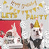 Cat & Dog Birthday Party Supplies - Pawty Balloons, Hats, Decorations & Banners