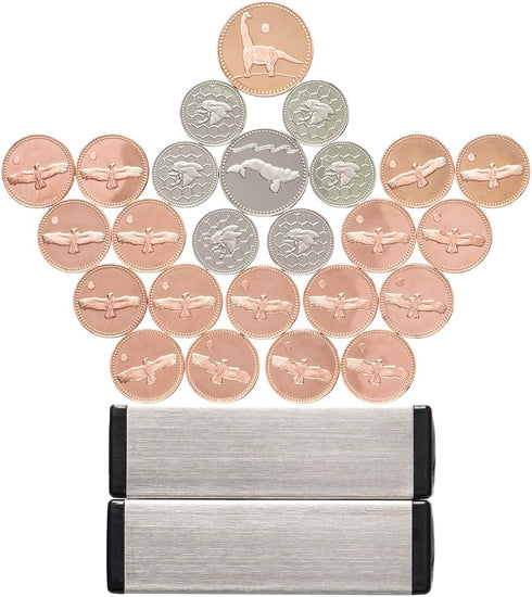 8, 9, 10, 11, 12+ Dowling Magnets Magic Penny Magnet Kit - STEM Toy Gift for Kids Years Old - Perfect Educational Gift