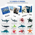 MEROCO Montessori Animal Match Game Cards - Marine Animal Matching Montessori Language Materials for Toddlers Preschool