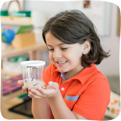 Insect Lore Two Cups of Caterpillars - Butterfly Garden Kit Refill Raise and Release Painted Lady Butterflies Includes