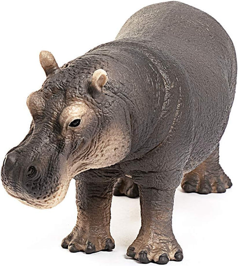 3+ Schleich Wild Life Realistic Detailed Hippopotamus Figurine - Wild Hippo Figurine Toy for Play and Education, Highly