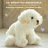 Bearington 6.5 Inch White Dog Stuffed Animal - Poodle and Labradoodle Plush