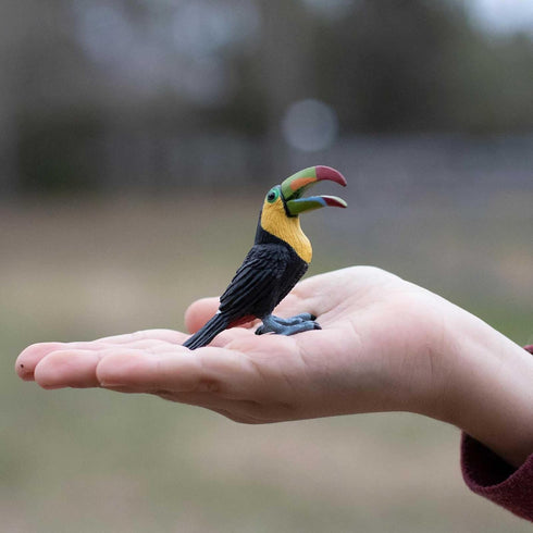 2.75" 3+ Safari Ltd. Toucan Figurine - Lifelike Bird Figure - Educational Toy for Boys, Girls, and Kids Ages