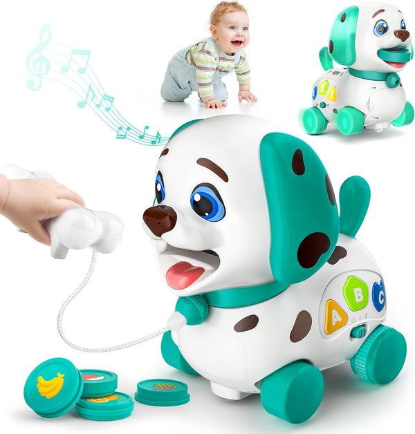 Musical Bilingual Toys for 1 Year Old Boy Gifts, Educational Baby Toys