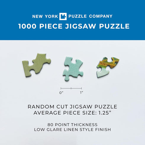 1000 New York Puzzle Company - Vintage Images Sea Anemones - Piece Jigsaw Puzzle for Adults by Ernst Haeckel