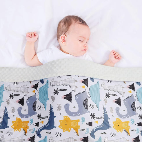 Baby Blanket for Boys Girls, Soft Minky with Double Layer Dotted Backing, Color Dinosaurs Printed, 30 x 40 Inch