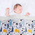 Baby Blanket for Boys Girls, Soft Minky with Double Layer Dotted Backing, Color Dinosaurs Printed, 30 x 40 Inch