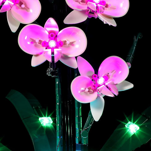 BRIKSMAX Led Lighting Kit for LEGO-10311 Orchid, Compatible with Lego Creator Expert Building Blocks Model, Set Not