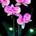 BRIKSMAX Led Lighting Kit for LEGO-10311 Orchid, Compatible with Lego Creator Expert Building Blocks Model, Set Not
