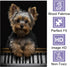 Cute Yorkie Dog Jigsaw Puzzles 1000 Pieces Yorkshire Terrier Animal Wooden Puzzle for Adults Teens Home Wall Decor Family Party Puzzle Games Floor Props Kid Toy Best Gift