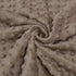Buerhanerry 30"x40" Baseball Baby Blanket for Boys, Sports Toddler Soft Minky Blanket with Double Layer Dotted Backing