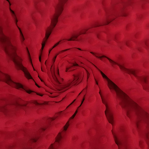 30 40) Pro Goleem Baby Soft Minky Dot Blanket with Silky Satin Backing Baby Gifts for Boys and Girls (Red, x