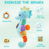 Baby Toys 0-6 Months - Infant Musical Stuffed Animals with Bright Colors, Crinkle Sound, Multi-Textures & Rattles (Blue)