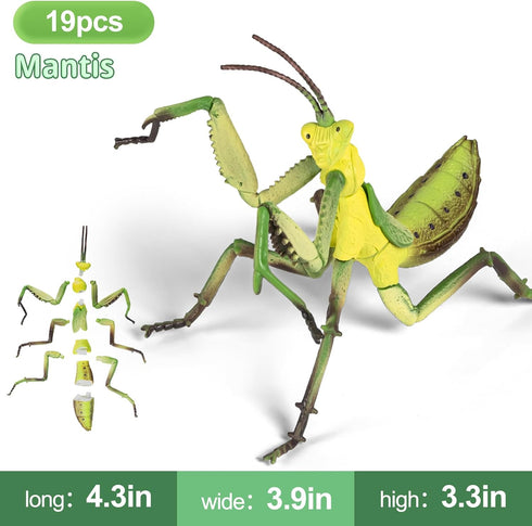 ECOHDT 7Pcs 3D Kids,1:1 5 6 7 8+ Set,Educational Lifelike Puzzles for Replica Insect Building Toys for Year Old Boys