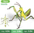 ECOHDT 7Pcs 3D Kids,1:1 5 6 7 8+ Set,Educational Lifelike Puzzles for Replica Insect Building Toys for Year Old Boys