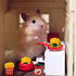 30 Pcs Miniature Food Drinks, Laptop Computer & Books Toys for Dollhouse Miniature Furniture Accessories