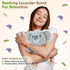 SuzziPals Heatable & Coolable Koala Stuffed Animals, Cute Microwavable Heating Pad Plushies for Soothing & Relaxation
