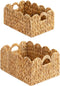 StorageWorks Scalloped Edge Wicker Basket, Hand-woven Rattan Baskets with Built-in Handles, Water