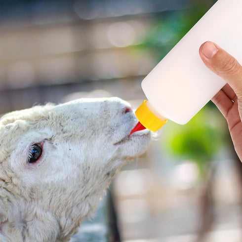 Housoutil Lamb Feeding Bottle Set, Milk Feeder for Goat, Sheep, Livestock, Nursing Bottle
