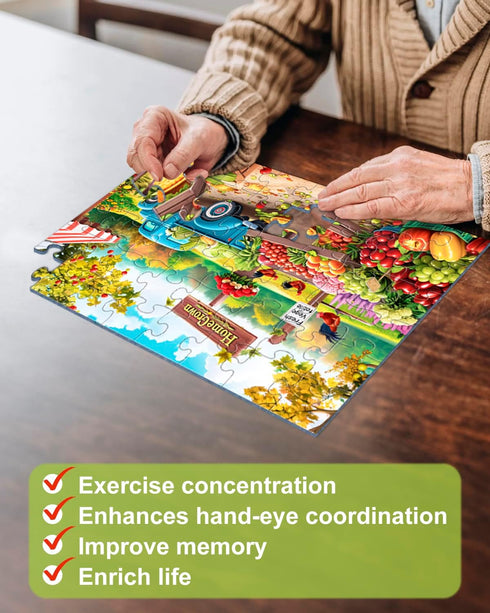 6 Pack 48 Yigney Large Piece Jigsaw for Seniors Alzheimer Products for Elderly Dementia Activities Memory for Patients