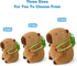 Ditucu Cute Capybara Plush with Turtle Backpack, Kawaii Stuffed Animals, Hugging Gifts for Kids, Brown 9 inch