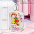 Clear Figure Display Bag with Keychain, Portable Small Doll Storage Bag with Zipper Closure for Collectibles
