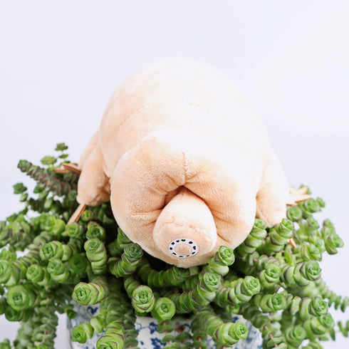 Tardigrade Plush Waterbear Stuffed Animal, 9" - Sea Creature Plush Toy