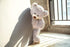 36 Inch Big Teddy Bear, Cute Giant Stuffed Animals, Soft Plush Bear for Kids and Girlfriend