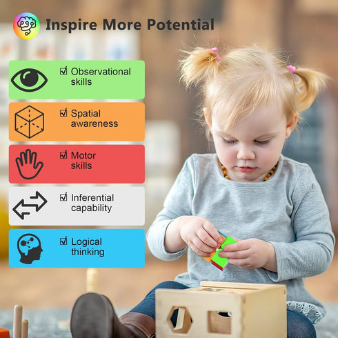 11 Pack Set 2x2 3x3 4x4 Pack Vdealen Speed Cube Puzzle Cube Bundle Fidget Ball Pyramid Dodecahedron Skewb Snake