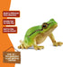3+ 14882 Schleich Wild Life - European Tree Frog Toy Figurine. Realistic Hand-Painted Animal Toys for Boys and Girls.