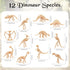 VICROIC 60 PCS Dinosaur Fossil Skeletons, Assorted Dinosaur Skeleton Toys Figures for Science Play Dino Sand Dig Party