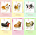 Puppy Dog Themed Birthday Party Decorations, 6pcs Dog Balloons for Birthday Party Supplies