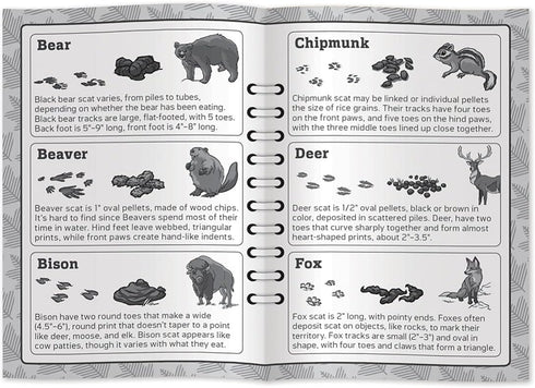 Masterpieces Jr Ranger Poop Tracks Card Game - Ages 6+, 2-6 Players, Medium