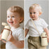 316L 11 oz (1 Pack, Evorie Leak Proof Vacuum Insulated Water Bottle, Stainless Steel Sippy Cup for Toddlers, Straw Cup