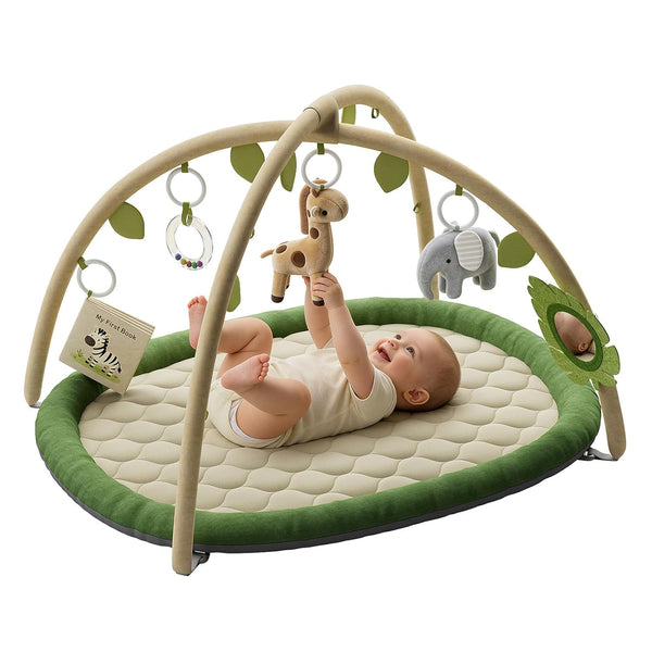 Baby Play Gym & Activity Mat, Baby Play Mat with 5 Detachable