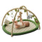 Baby Play Gym & Activity Mat, Baby Play Mat with 5 Detachable
