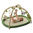 Baby Play Gym & Activity Mat, Baby Play Mat with 5 Detachable
