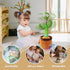 MIAODAM Children Song Version Dancing Cactus, Volume Adjustable Talking Toy, Colorful Glowing Singing Cactus