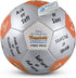 Trainers Warehouse 6" Thumball Collection, 32 Prompts for Team Building, Conversation, and Training