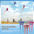 Poen 12 Pcs Butterfly Dragonfly Kites 3.28 ft with 164ft String - Large Easy to Fly Beach Kites for Kids Outdoor