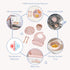 Silicone Baby Feeding Set - Toddler Led Weaning Supplies - Kids Plate, Bowl, Spoon and Fork Set (Cream)