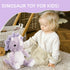 Cute Purple Dinosaur Stuffed Animals for Girls, Cuddly Plush Toy for Kids, Huggable Triceratops Birthday Gifts